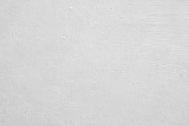 Best Mold Damage Restoration  in East Berlin, PA